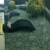 gallery_home2